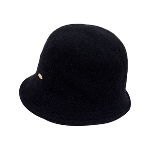 双面戴澳洲细羊毛呢盆帽女2025新款时尚洋气百搭秋冬日系渔夫帽子