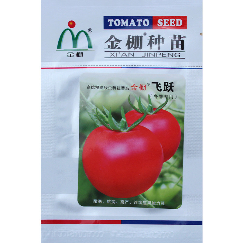 蔬菜高产西红柿越冬四季番茄种子