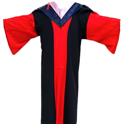 大学生毕业照文理科风博士服定制