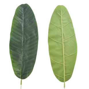 过胶叶子仿真大芭蕉叶香蕉叶小树叶绿叶装饰花植物针葵叶舞蹈道具