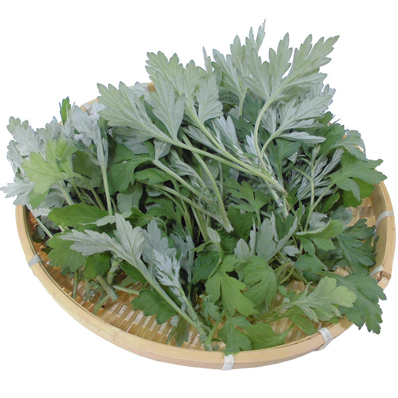 新鲜艾叶生艾叶草广东糍粑艾板艾草叶食用清明草青团天然野菜蔬菜