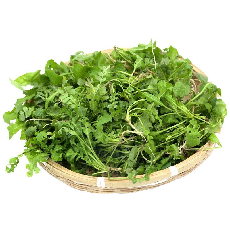 新鲜荠荠菜野生荠菜福月安
