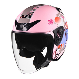 艾狮头盔男女士电动车摩托车电瓶车安全帽冬季半盔四季通用安全盔