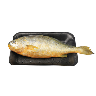 黄花鱼新鲜冷冻特大黄鱼鲜活深海鱼超大整箱海鲜450-550g/条共3条