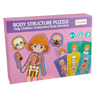 儿童认知男女孩人体身体结构拼图器官图片幼儿园教具早教益智玩具