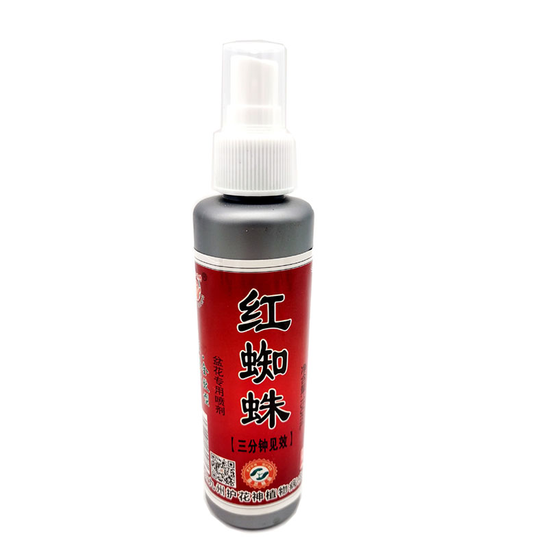 园艺北京红蜘蛛月季花卉盆栽除虫