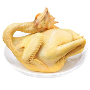 甘肃正宗土鸡农家散养老鸡土鸡活体整只老母鸡活鸡现杀新鲜重四斤