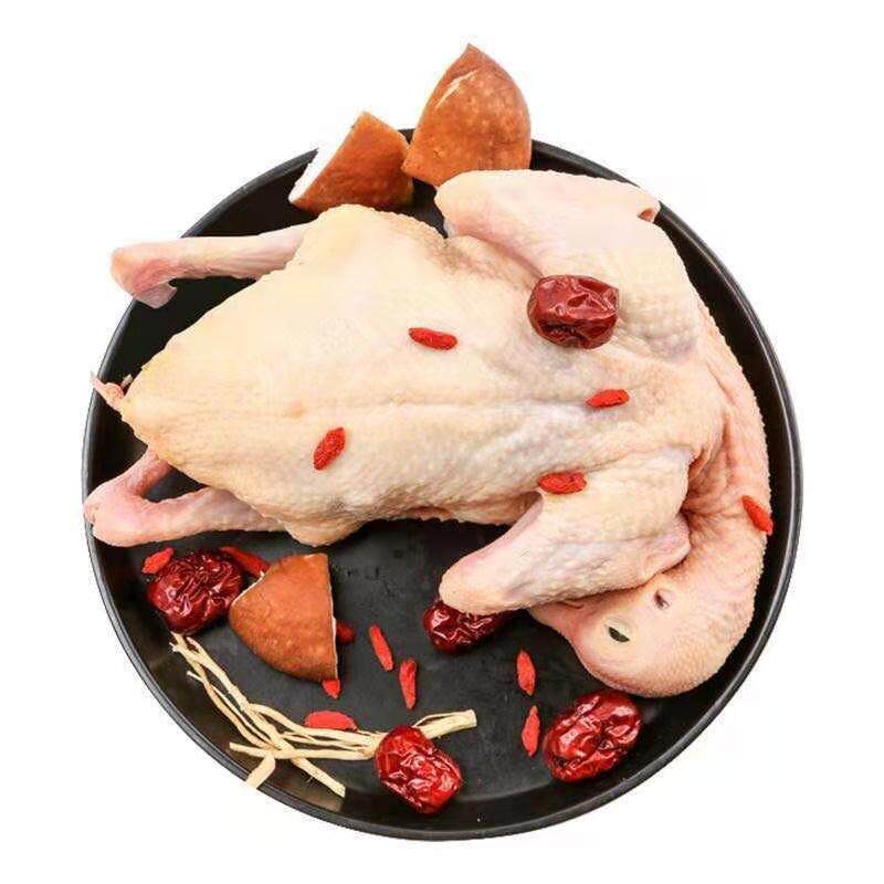 甘肃特产农家散养土鸽子新鲜鸽子肉3年老鸽子鸽子现杀包邮非乳鸽