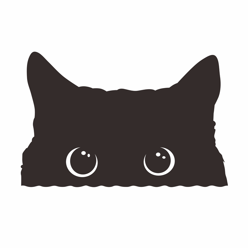 3d立体卡通搞笑猫咪车贴