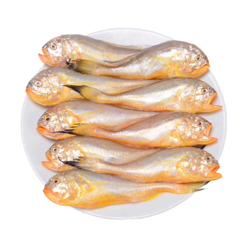 梅童魚新鮮 舟山小梅子魚細眼大頭梅童魚約 26多條/斤  速凍發(fā)