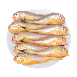 梅童鱼新鲜 舟山小梅子鱼细眼大头梅童鱼约 26多条/斤  速冻发