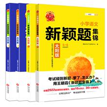 【王朝霞】小升初新颖集锦复习卷