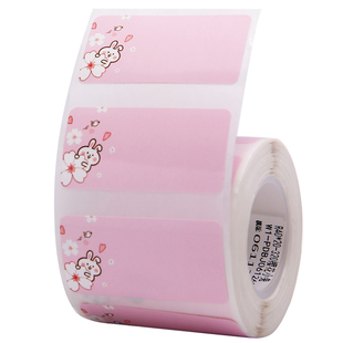 精臣B21/B1/B31/B3S新款标签纸幼儿园名帖宝宝卡通水果可爱防水文具名字姓名贴纸儿童宝宝彩色家用分类便签