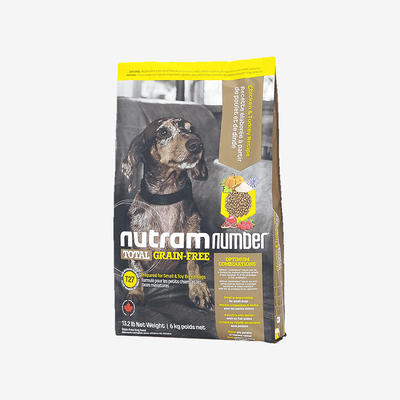 低敏加拿大小型法斗柯基泰迪幼犬