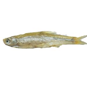 淡水鱼粉野生小鱼干鱼末小碎鱼鱼渣猫零食鱼干无盐狗龟粮鸟食饲料
