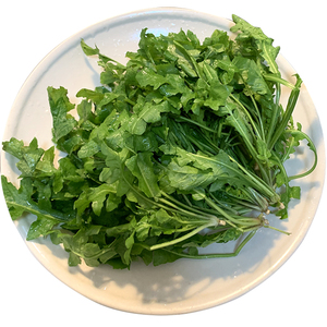 新鲜现挖秦岭野生荠菜扁锅铲菜地丁菜靡草地米菜荠菜饺子5斤包邮