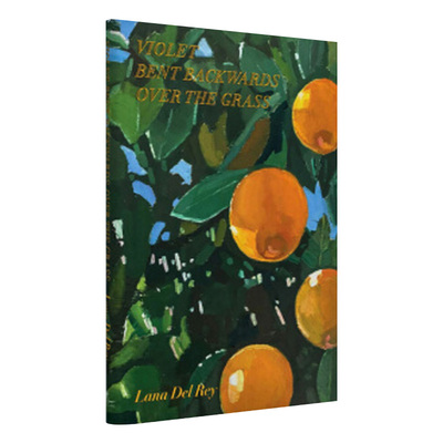 拉娜·德雷诗歌集打雷姐诗集