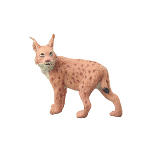 童德猞猁模型仿真野生动物玩具山猫猞猁狲儿童认知益智