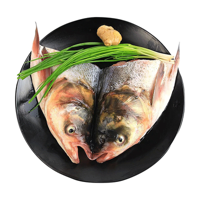 淡水鱼鲜活现杀鳙鱼鱼头鲢鱼头