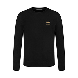 HELLEN&WOODY2023年新款奢侈品男装澳洲美丽诺羊毛修身羊毛毛衣男