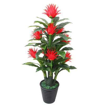 无需打理，不在担心枯萎的风景线