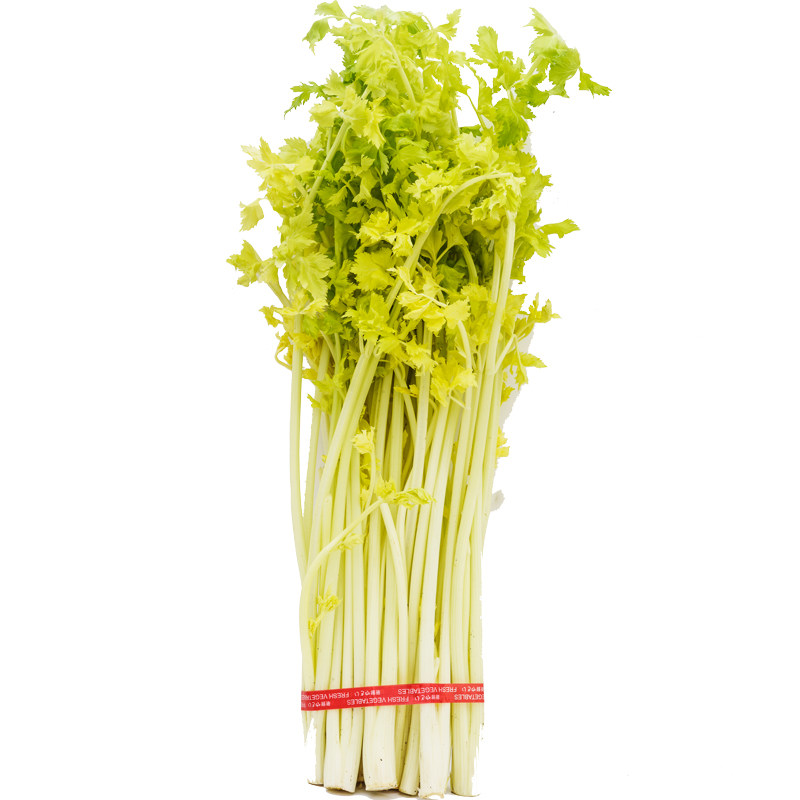 山东新鲜蔬菜马家沟芹菜