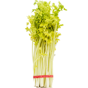 山东平度马家沟芹菜青岛特产新鲜蔬菜空心嫩黄菜芯凉拌脆芹全家桶