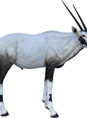 大型仿真藏羚羊景观庭院动物摆件