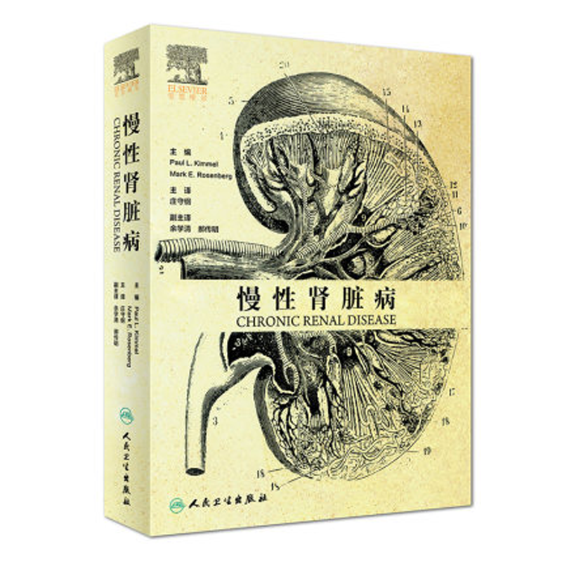 人卫社现货 慢性肾脏病 庄守纲 主译 内科学 肾内科学 临床医师参考工具书 9787117276597 2018年12月参考书 人民卫生出版社
