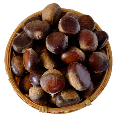 软糯甜毛栗子北京平谷自产自销