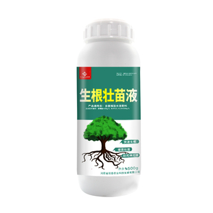 强力生根壮苗剂水生根粉树木大树果树移栽发根植物通用营养液扦插