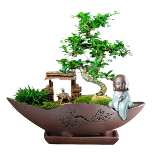 紫砂花盆陶瓷多肉花盆菖蒲个性创意组合摆件小盆景文竹古典盆特价