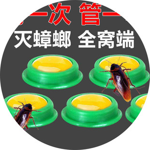 创意居家居日常生活厨房卫生用品具家用小东西百货灭蟑螂懒人神器