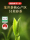 Чашка ароматного чая Лунцзин Mingqian Green Tea подарочная коробка для чая 2025 Новый чай выпейте свой собственный ароматный весенний чай в официальном флагманском магазине mini 2