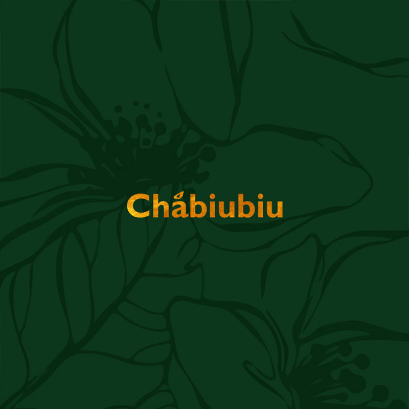 chabiubiu旗舰店