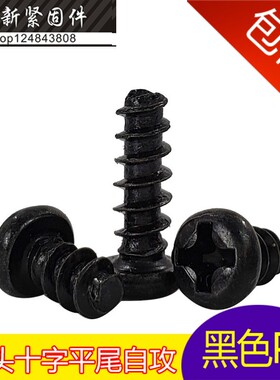 速发黑色螺头2尾自攻圆丝螺钉精密螺丝PB镀镍 M2.6*4-5-6-平5mm