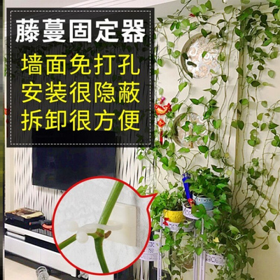 直绿店绿萝免墙营植固定器y攀爬卡扣环绿枝定型挂钩爬打孔2