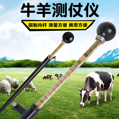 动物测杖仪器 羊测仗 牛测仗 测量牛羊身高 测仗仪 不锈钢测杖