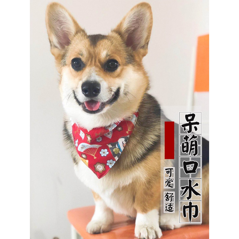 宠物口水巾卖萌三范巾小中大型犬金毛围巾狗迪泰狗围脖调节角围大