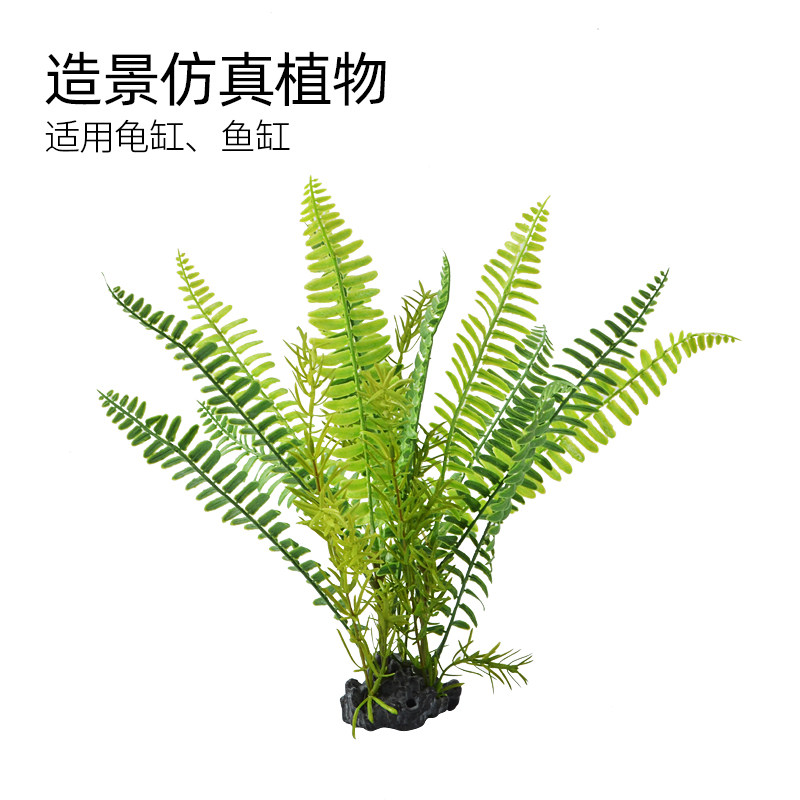 速发乌龟缸水景植物绿造摆件鱼缸植族箱装饰水草爬虫缸造景用品