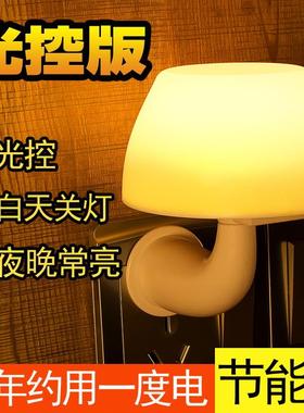 天黑自动亮灯小夜灯特殊照明白天不亮晚上亮灯迷你卧室微光感应