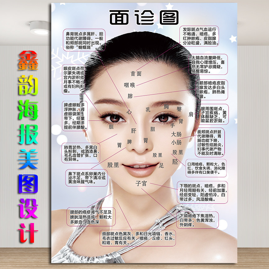 面部穴位图面f部护理海报图片脸部背诊图美容面部经络穴位图面诊