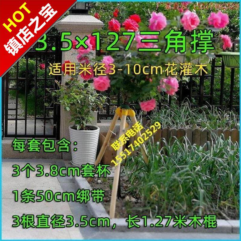 树木支撑架大树固定器树干托杆加厚落地支撑杆套环树撑Zs支架花u.