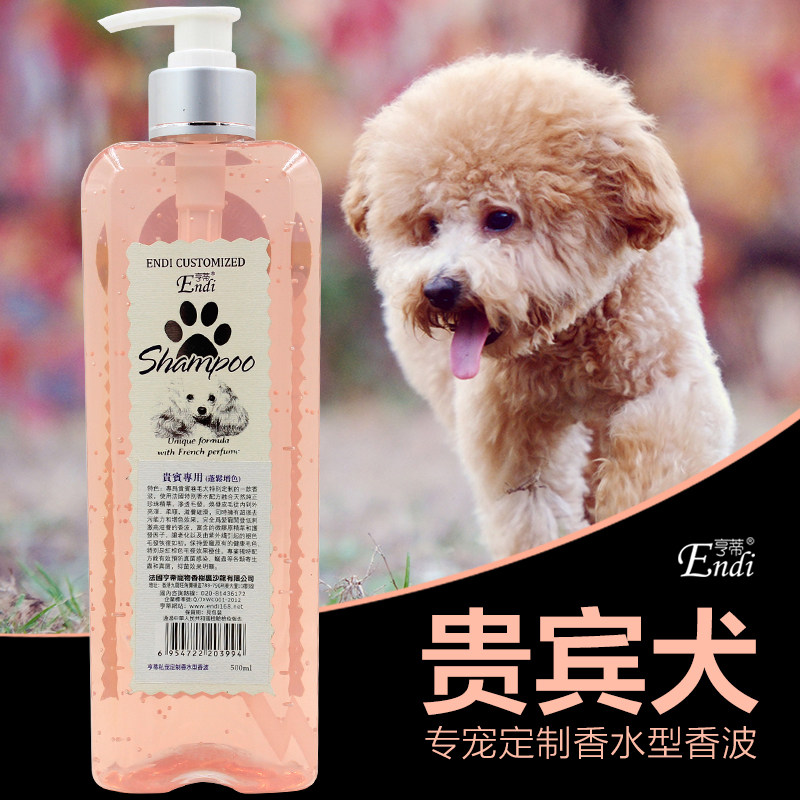速发香宾犬波澡亨贵槟色贵宾白色香洗蓬松洗澡用品