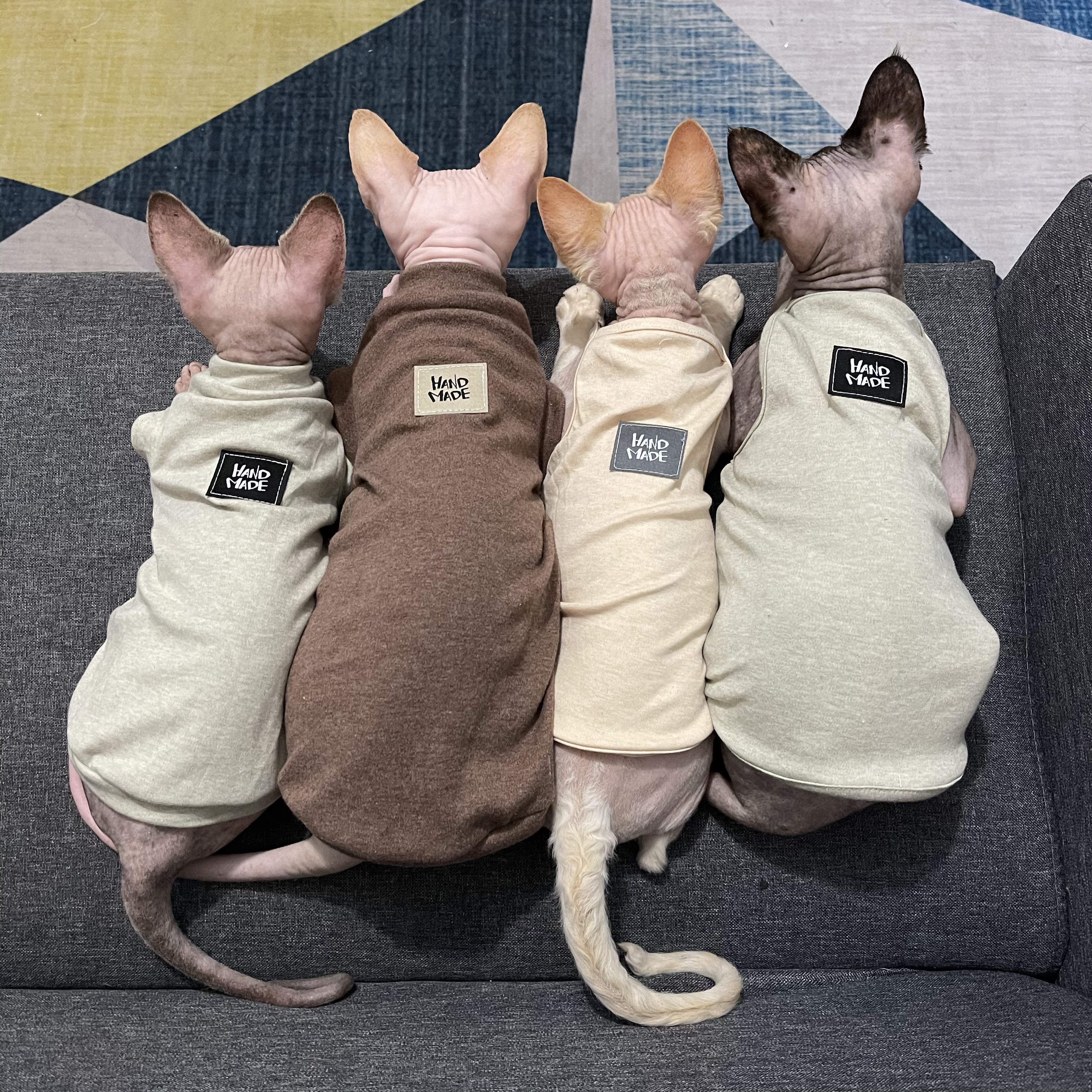 速发斯芬克斯无毛猫衣防春秋吊带背猫空调房简约服过敏德文心衣服