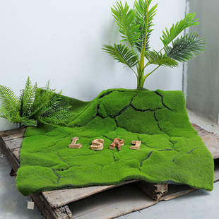 速发青苔苔藓草儿草坪幼皮园自然院物角花园庭植景观造物摆件装饰