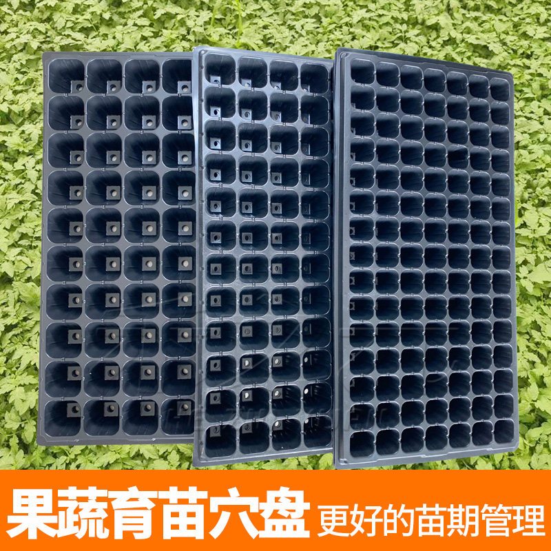 速发优质育苗种育苗钵育苗盆大盘育苗种菜蔬菜盘植盘基质穴棚通用