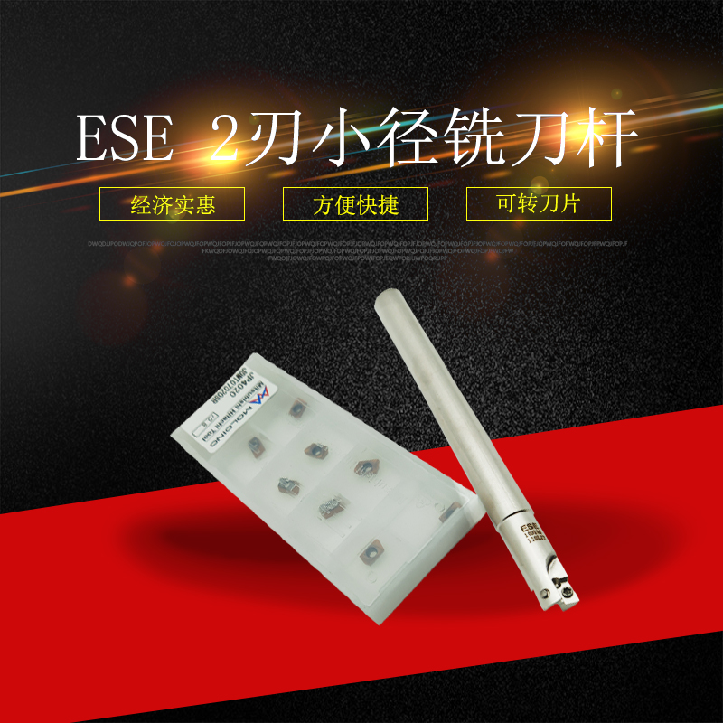 ESE aC10-10-120 C12-12-120 小径2刃铣刀杆 两刃铣刀杆 立铣刀