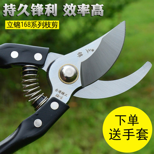 热销园林果树盆景造型专用工具枝剪芽剪刀J 园艺修花剪树技剪刀
