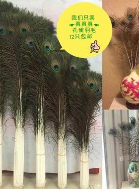 现货速发优质孔雀羽毛 插花瓶时尚装饰 逗猫神器 婚庆羽毛饰品配